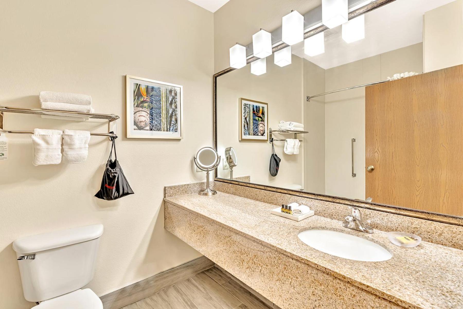 Best Western Plus Lewisville Flower Mound Bilik gambar